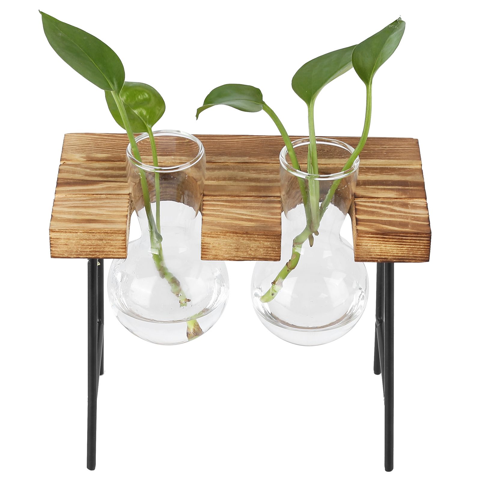 Desktop Glass Planter Wooden Stand Bulb Glass Vase Hydroponics Plant Planter view 8