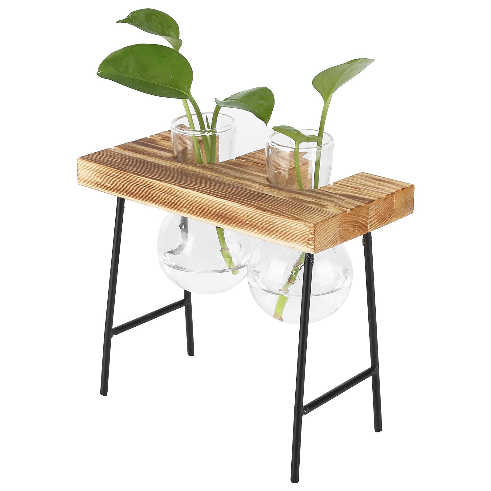 Desktop Glass Planter Wooden Stand Bulb Glass Vase Hydroponics Plant Planter view 10