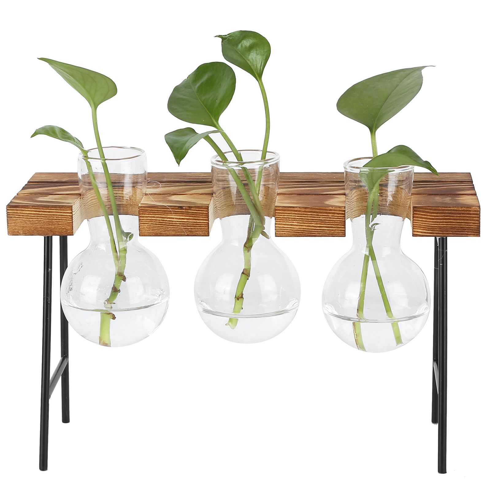 Desktop Glass Planter Wooden Stand Bulb Glass Vase Hydroponics Plant Planter view 7