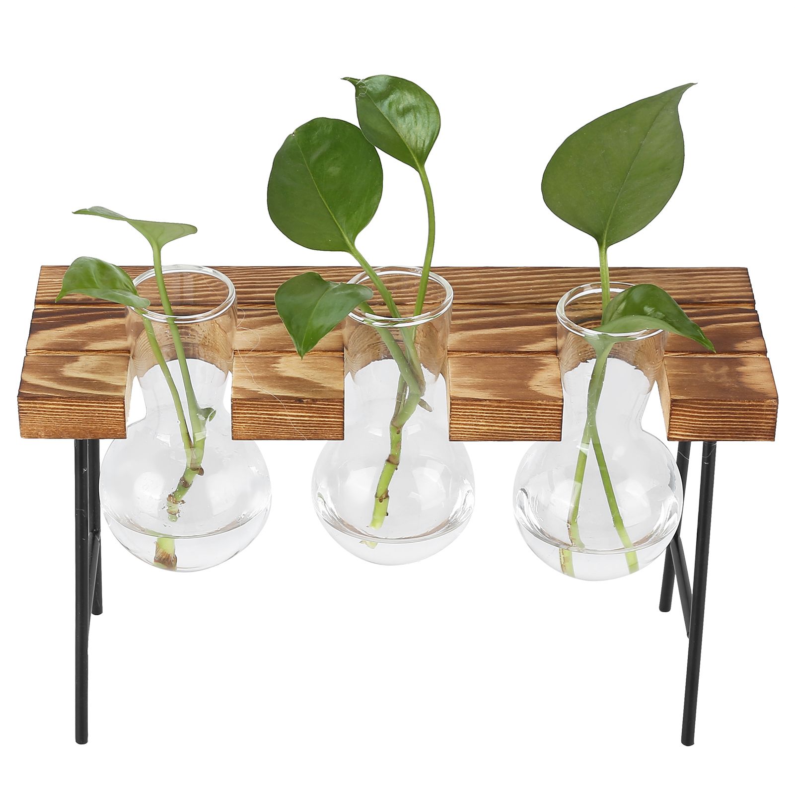 Desktop Glass Planter Wooden Stand Bulb Glass Vase Hydroponics Plant Planter view 8