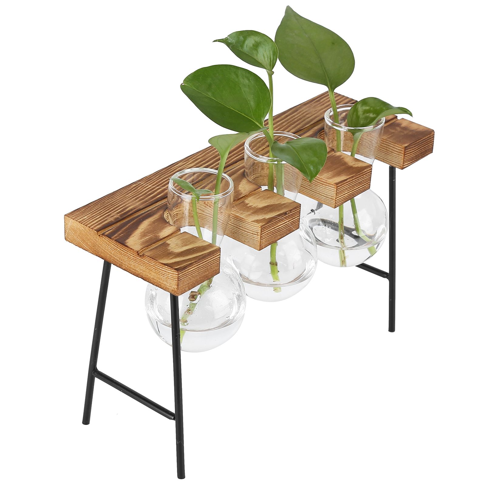 Desktop Glass Planter Wooden Stand Bulb Glass Vase Hydroponics Plant Planter view 9