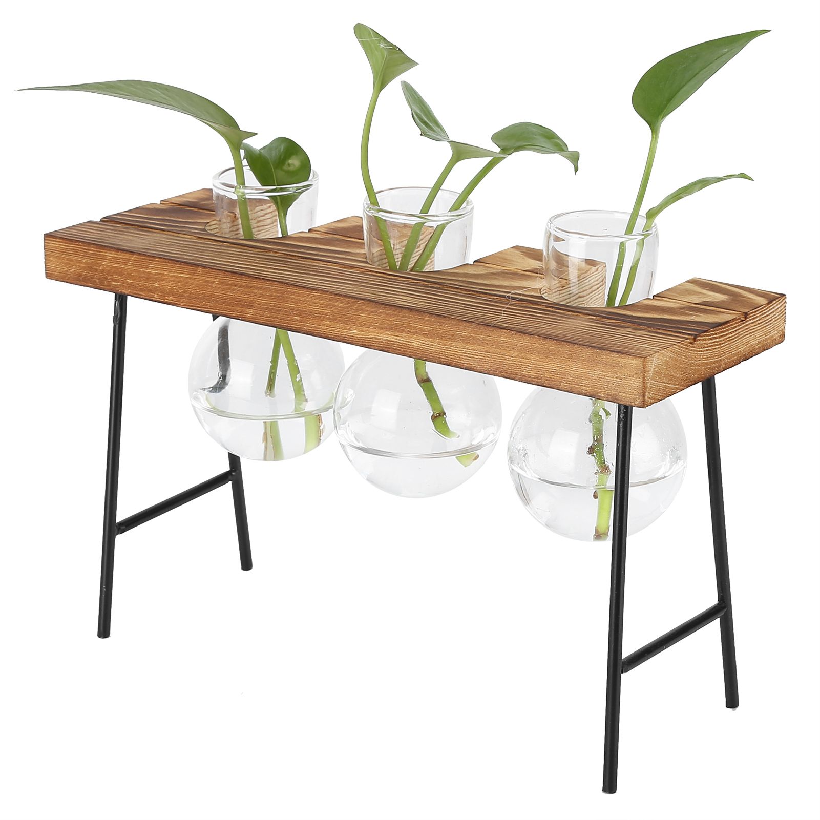 Desktop Glass Planter Wooden Stand Bulb Glass Vase Hydroponics Plant Planter view 10