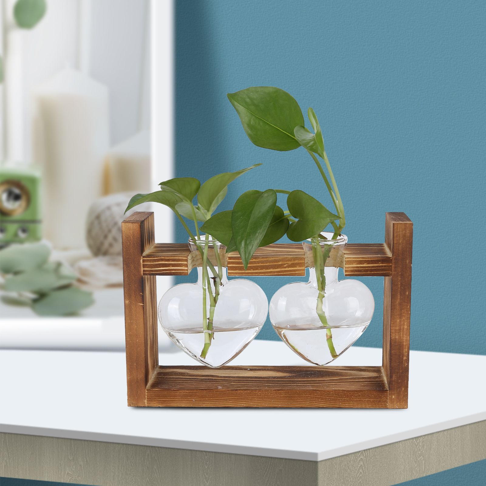 Innovative Flower Pot with Vintage Wooden Frame Transparent Tabletop Vase Home view 11