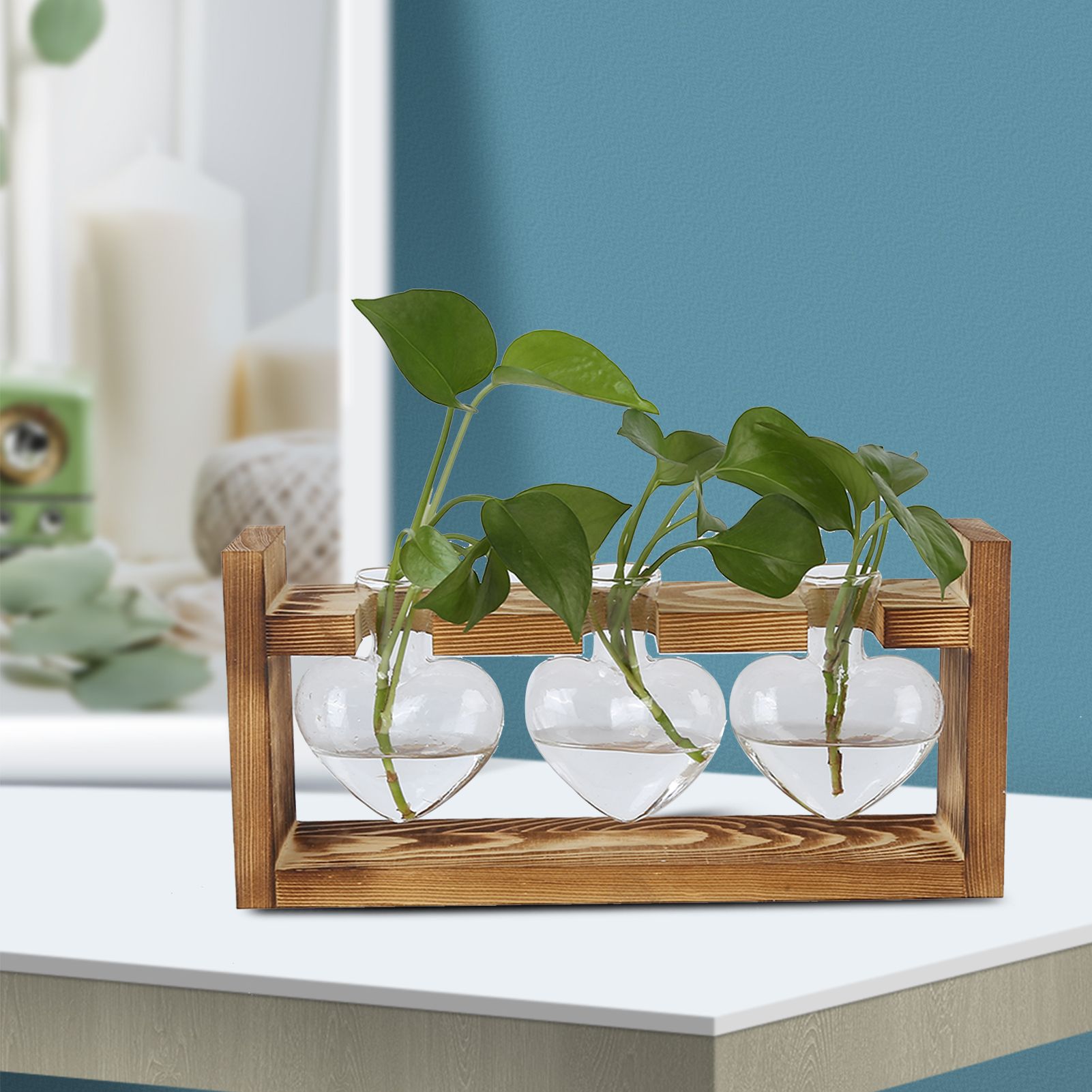 Innovative Flower Pot with Vintage Wooden Frame Transparent Tabletop Vase Home view 11
