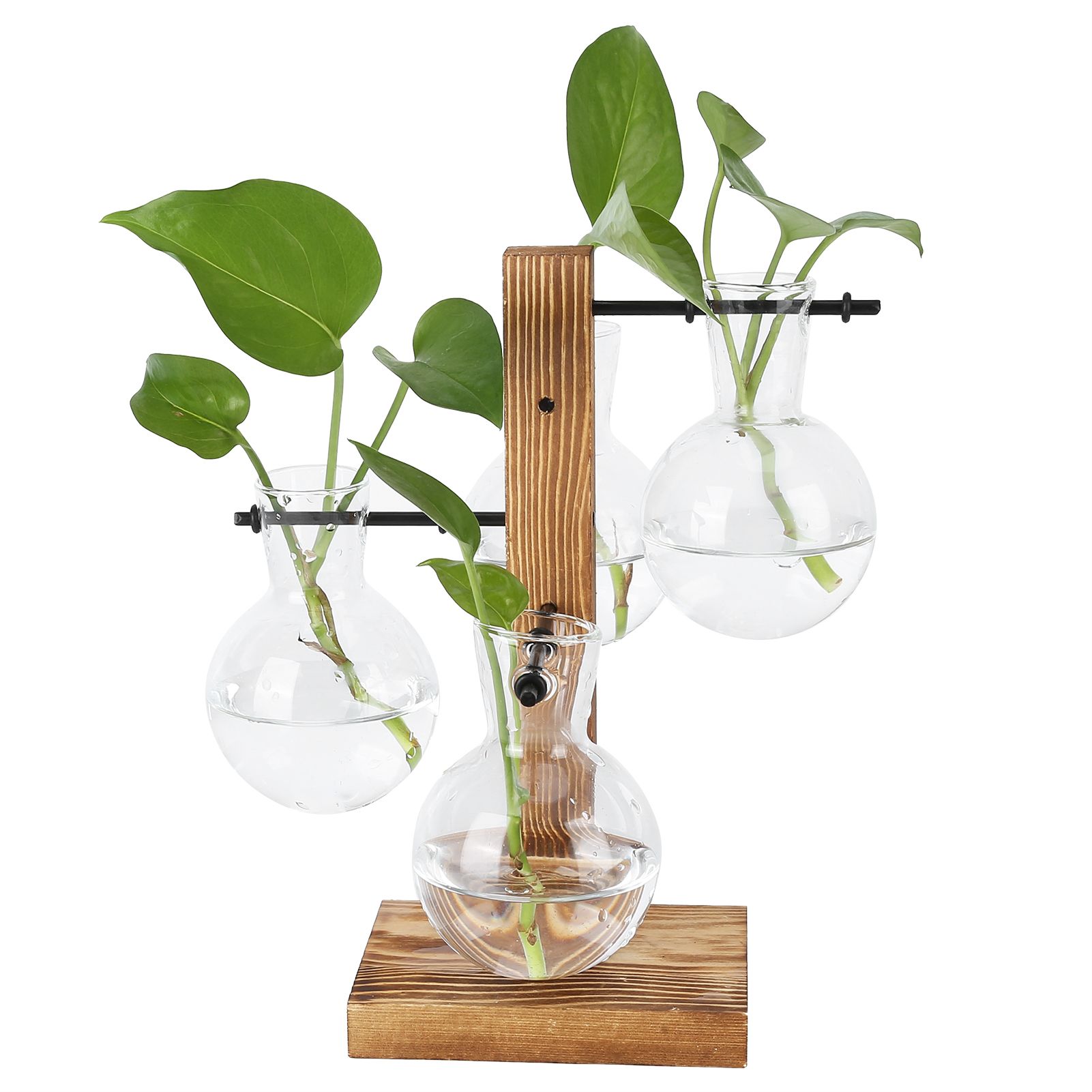 Innovative Hydroponic Vase with Wooden Stand Transparent Desktop Flower Vase view 4