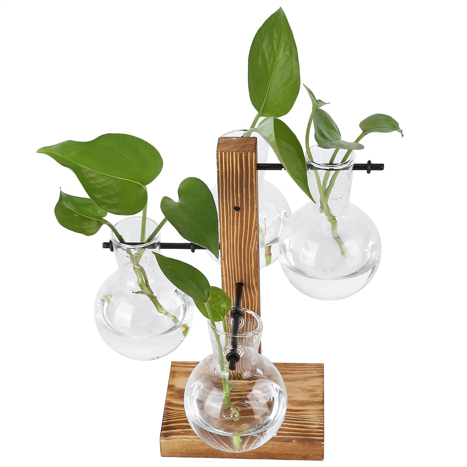 Innovative Hydroponic Vase with Wooden Stand Transparent Desktop Flower Vase view 5