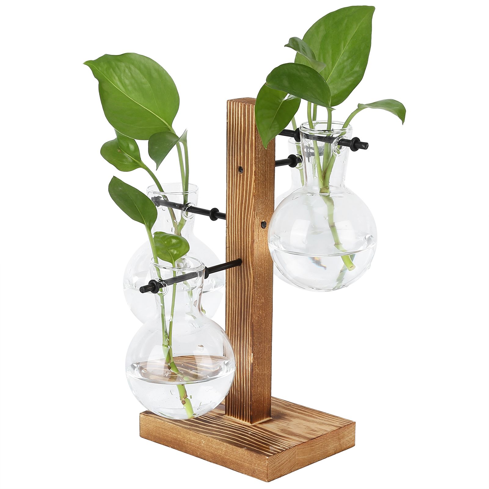Innovative Hydroponic Vase with Wooden Stand Transparent Desktop Flower Vase view 6