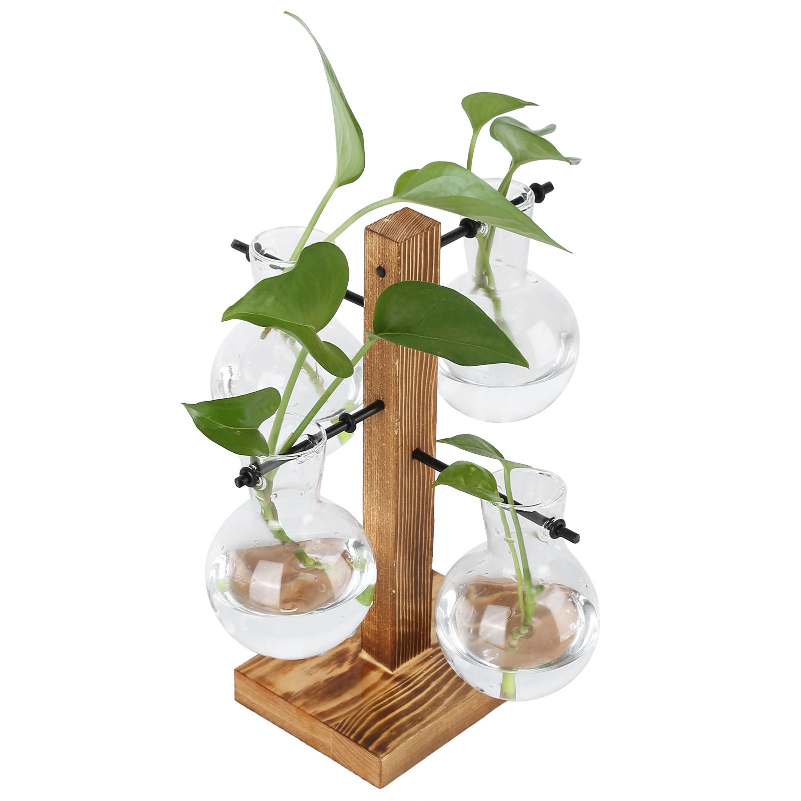 Innovative Hydroponic Vase with Wooden Stand Transparent Desktop Flower Vase view 7