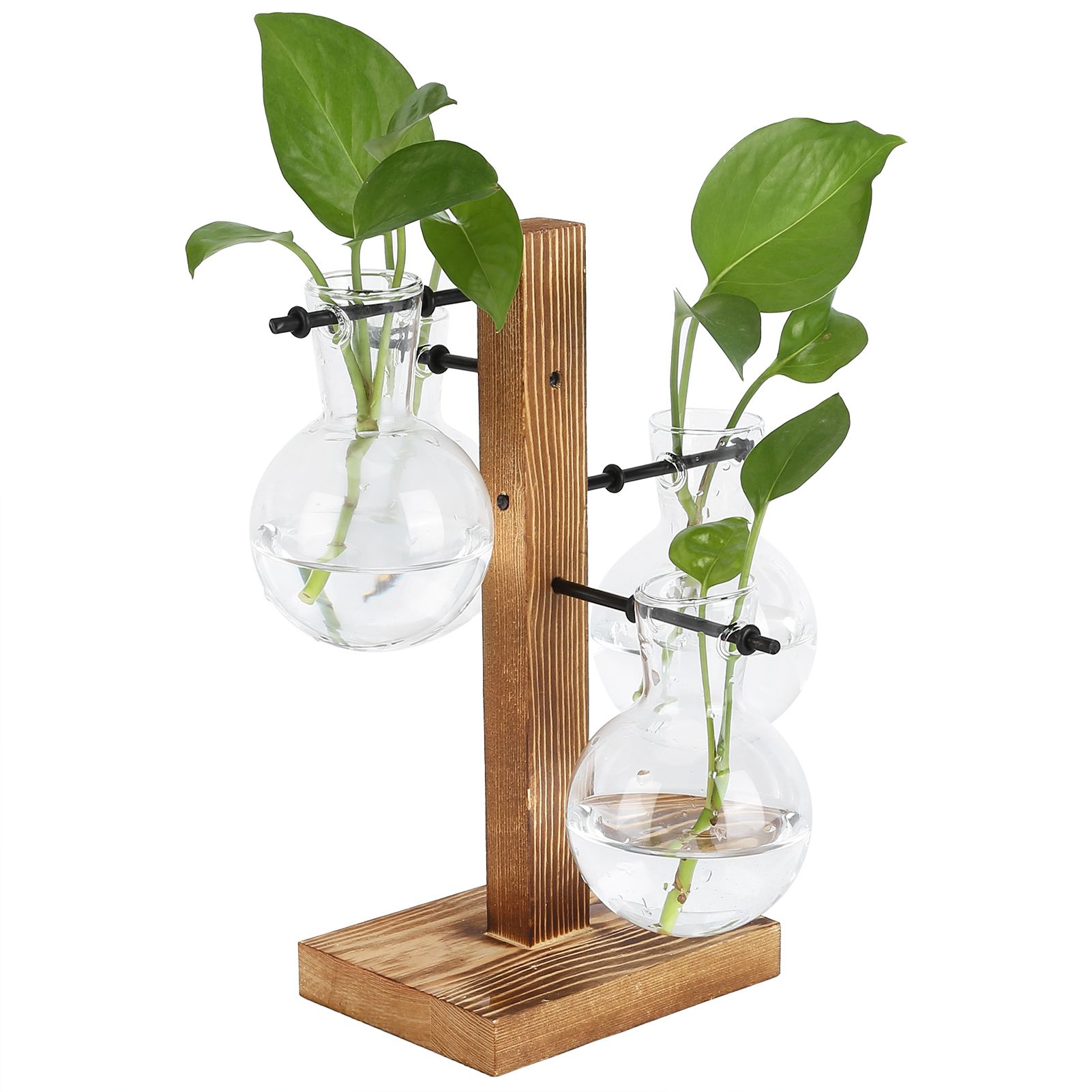 Innovative Hydroponic Vase with Wooden Stand Transparent Desktop Flower Vase view 8