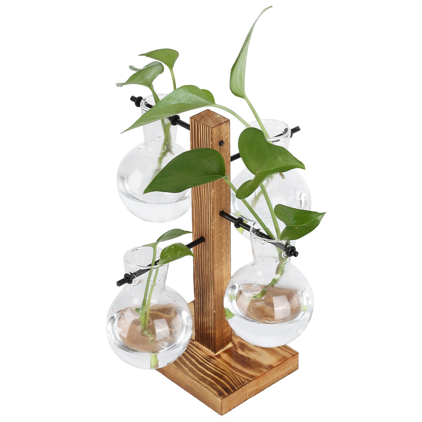 Innovative Hydroponic Vase with Wooden Stand Transparent Desktop Flower Vase view 9