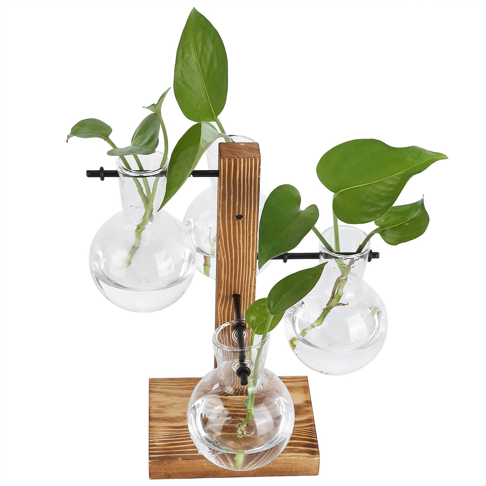Innovative Hydroponic Vase with Wooden Stand Transparent Desktop Flower Vase view 10