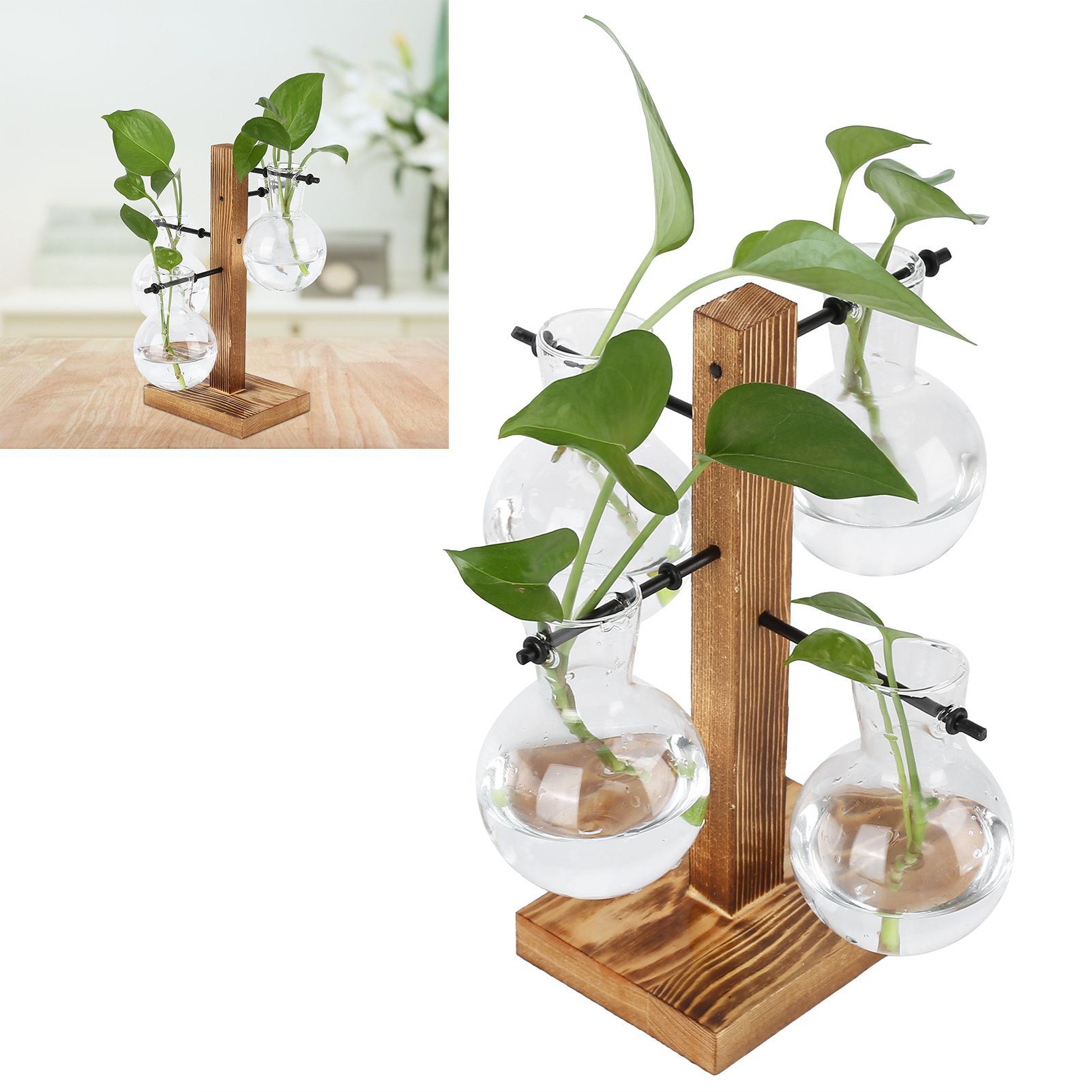 Innovative Hydroponic Vase with Wooden Stand Transparent Desktop Flower Vase view 11