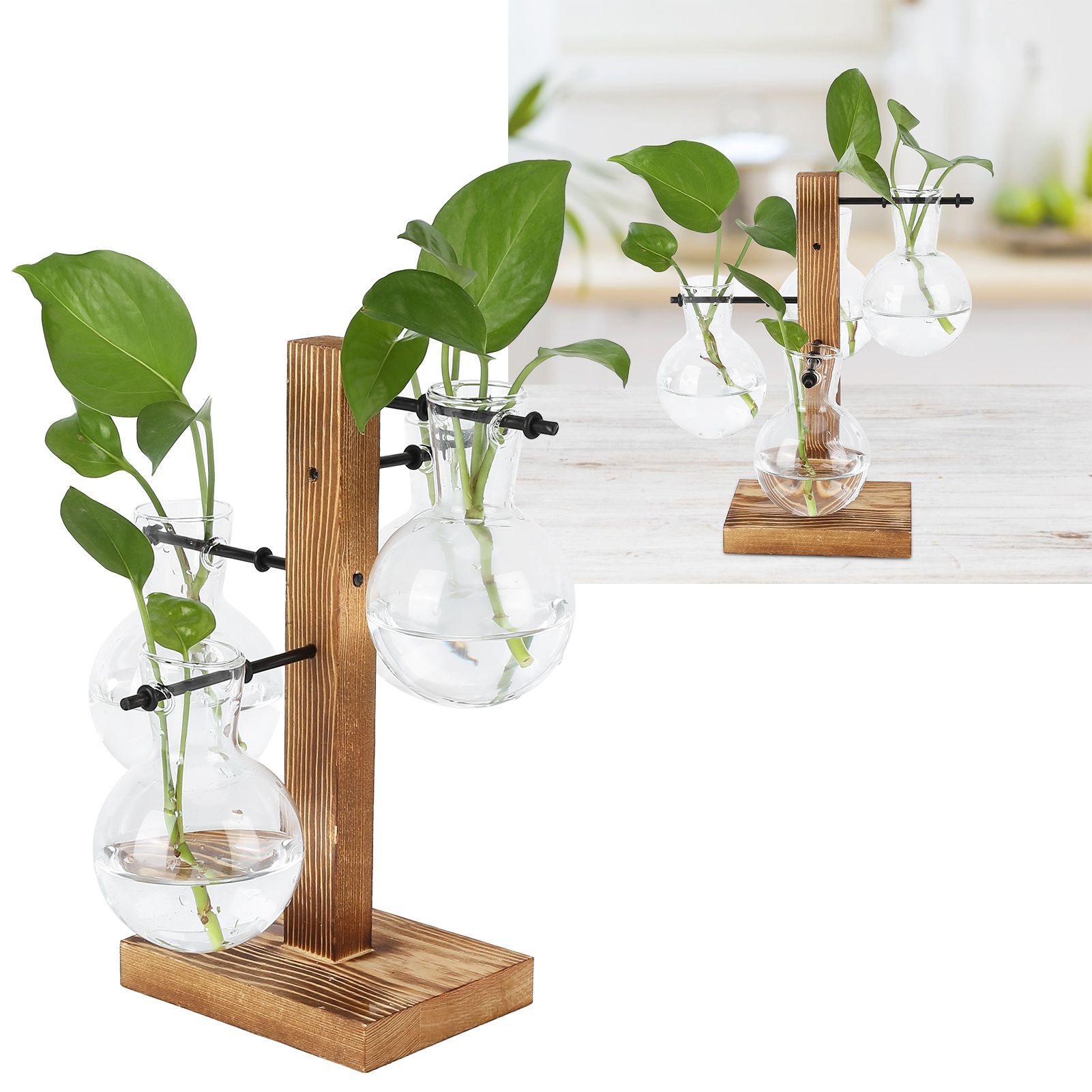 Innovative Hydroponic Vase with Wooden Stand Transparent Desktop Flower Vase view 12