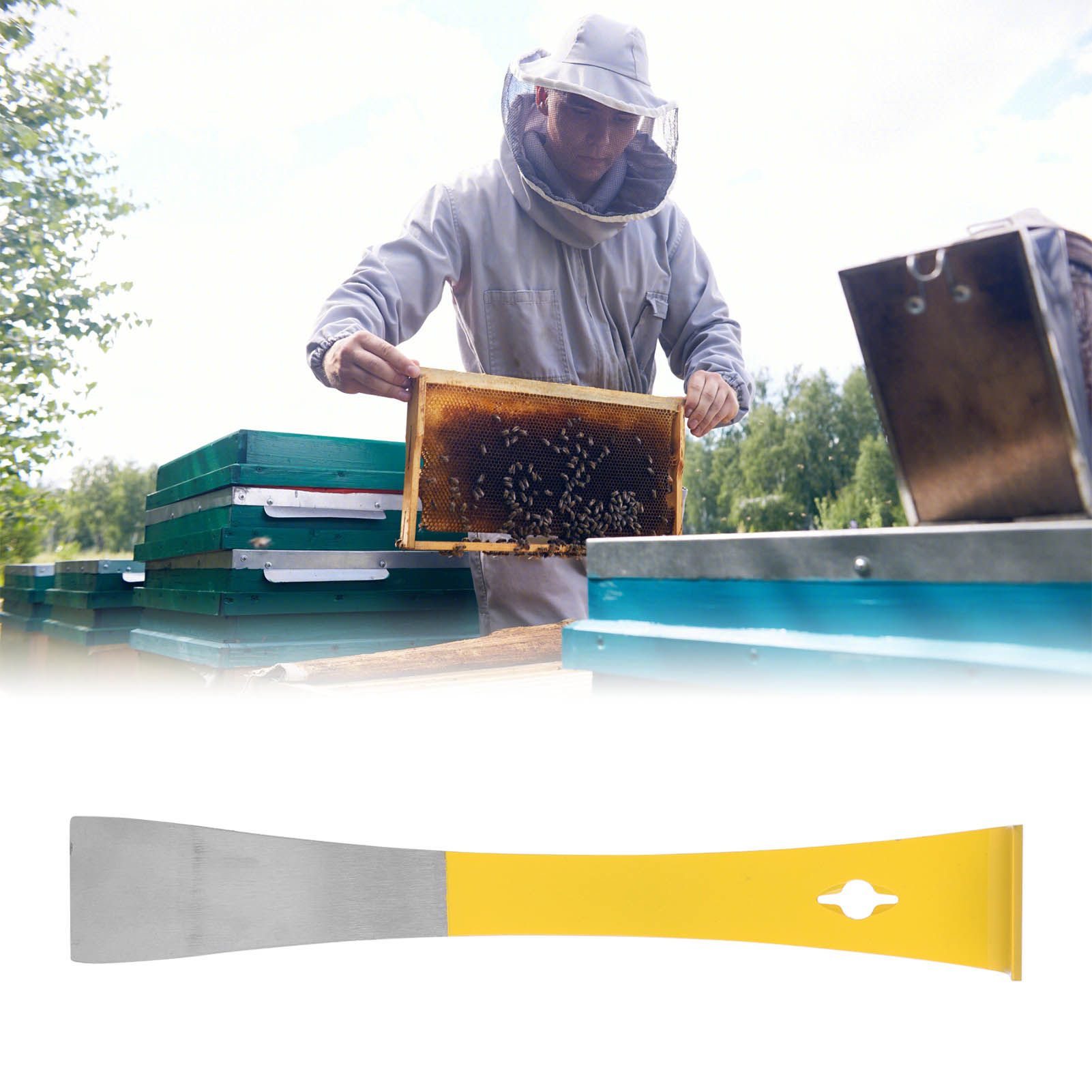 Beekeeper Scraper Stainless Steel Flat Scraper Honey Cutting Knife Beekeeping view 12