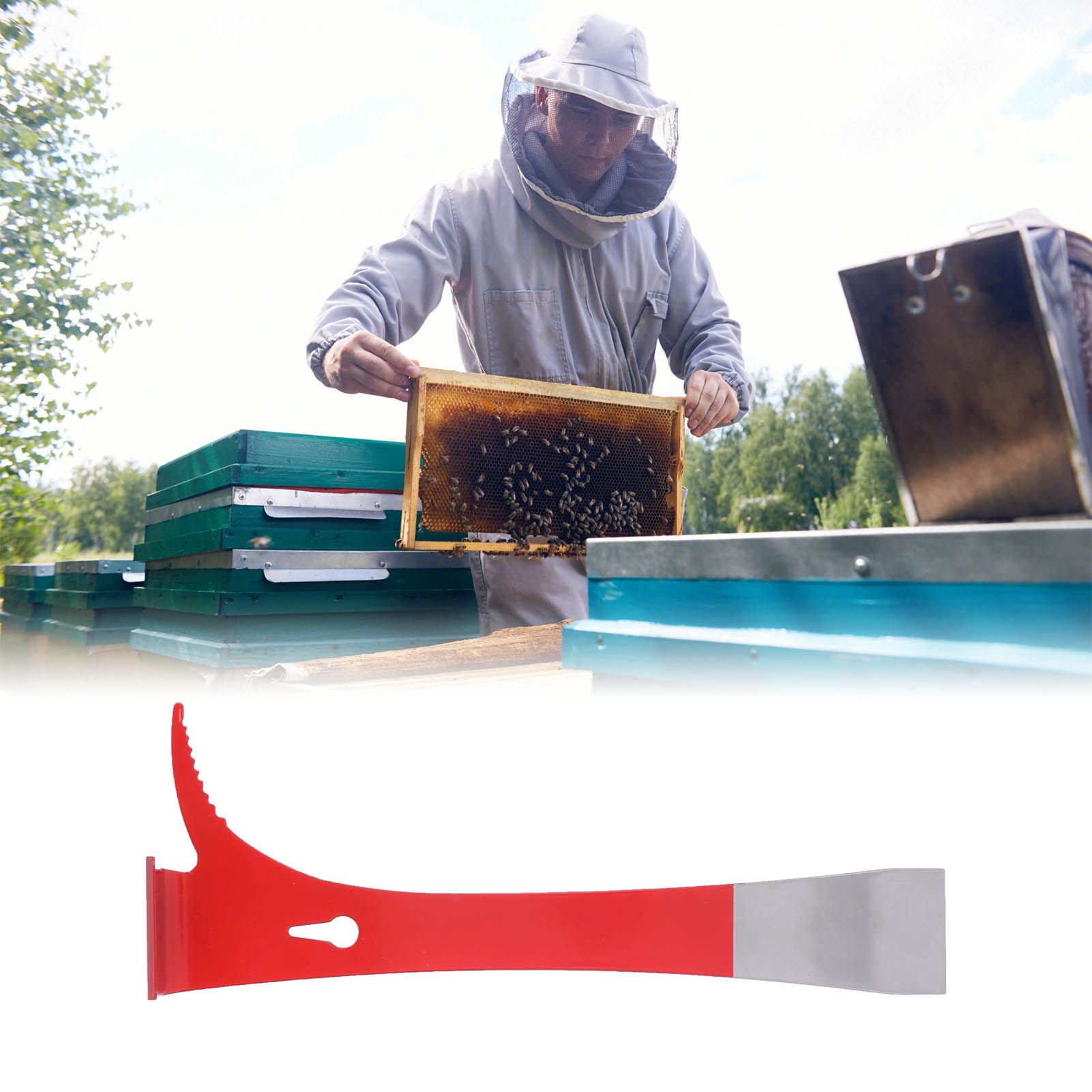 Beekeeper Scraper Stainless Steel Portable Honey Cutting Knife Beekeeping Tools view 12