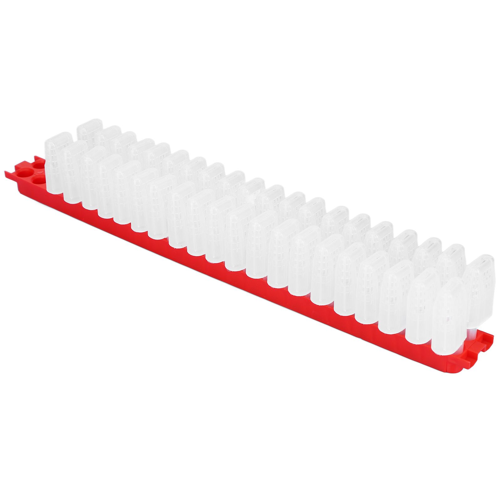 Bee Queen Cage Plastic Bee Rearing Cages Kit with Transport Strip Beekeeping view 4