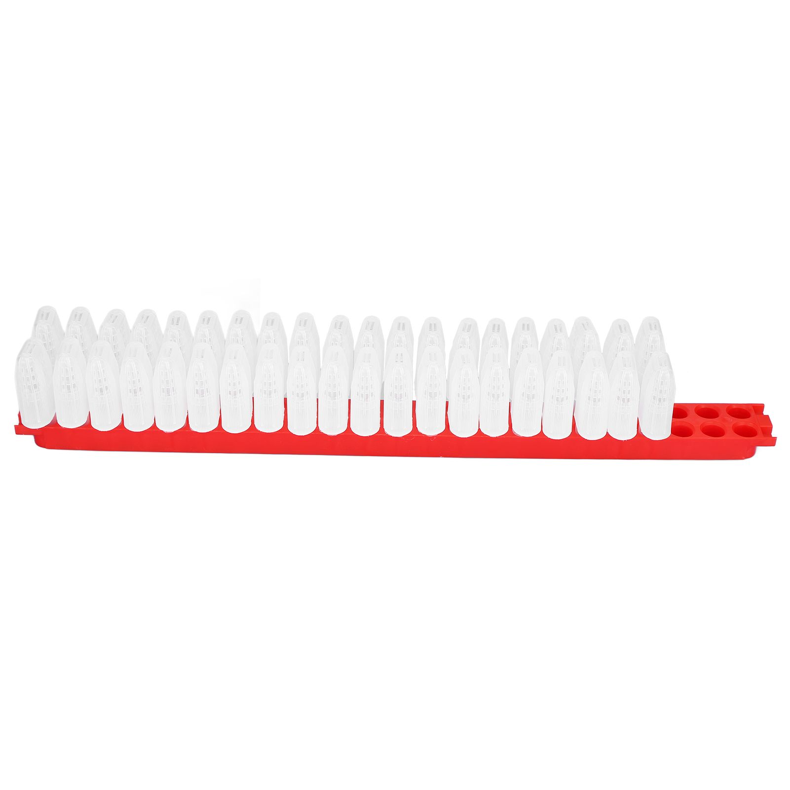 Bee Queen Cage Plastic Bee Rearing Cages Kit with Transport Strip Beekeeping view 7