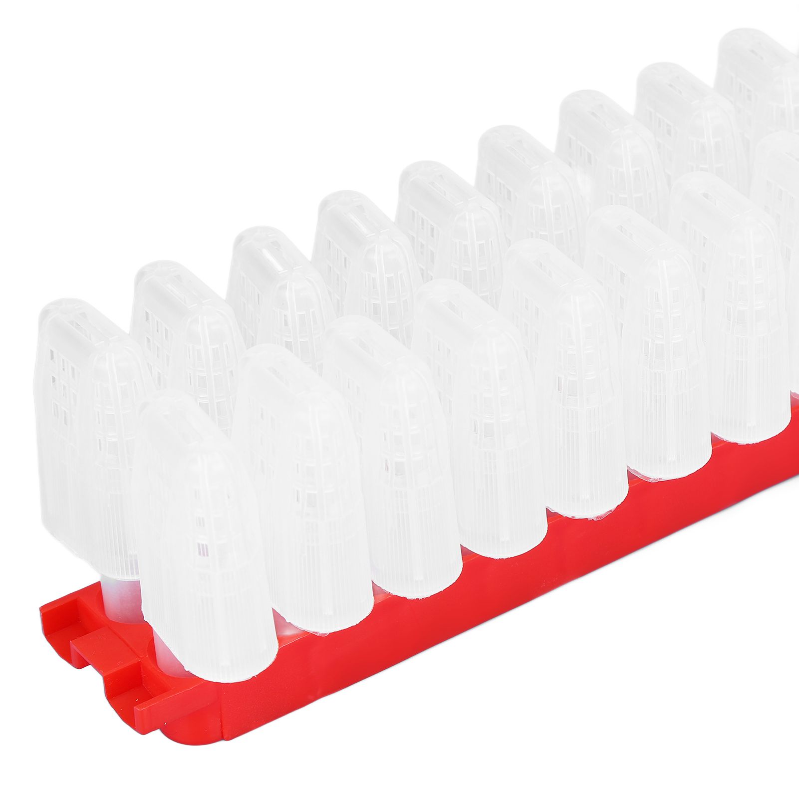 Bee Queen Cage Plastic Bee Rearing Cages Kit with Transport Strip Beekeeping view 13