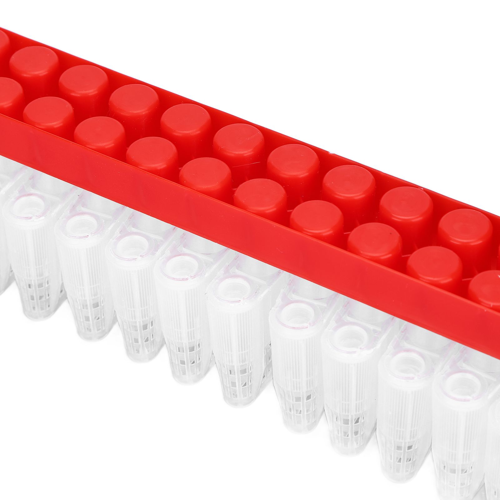 Bee Queen Cage Plastic Bee Rearing Cages Kit with Transport Strip Beekeeping view 14