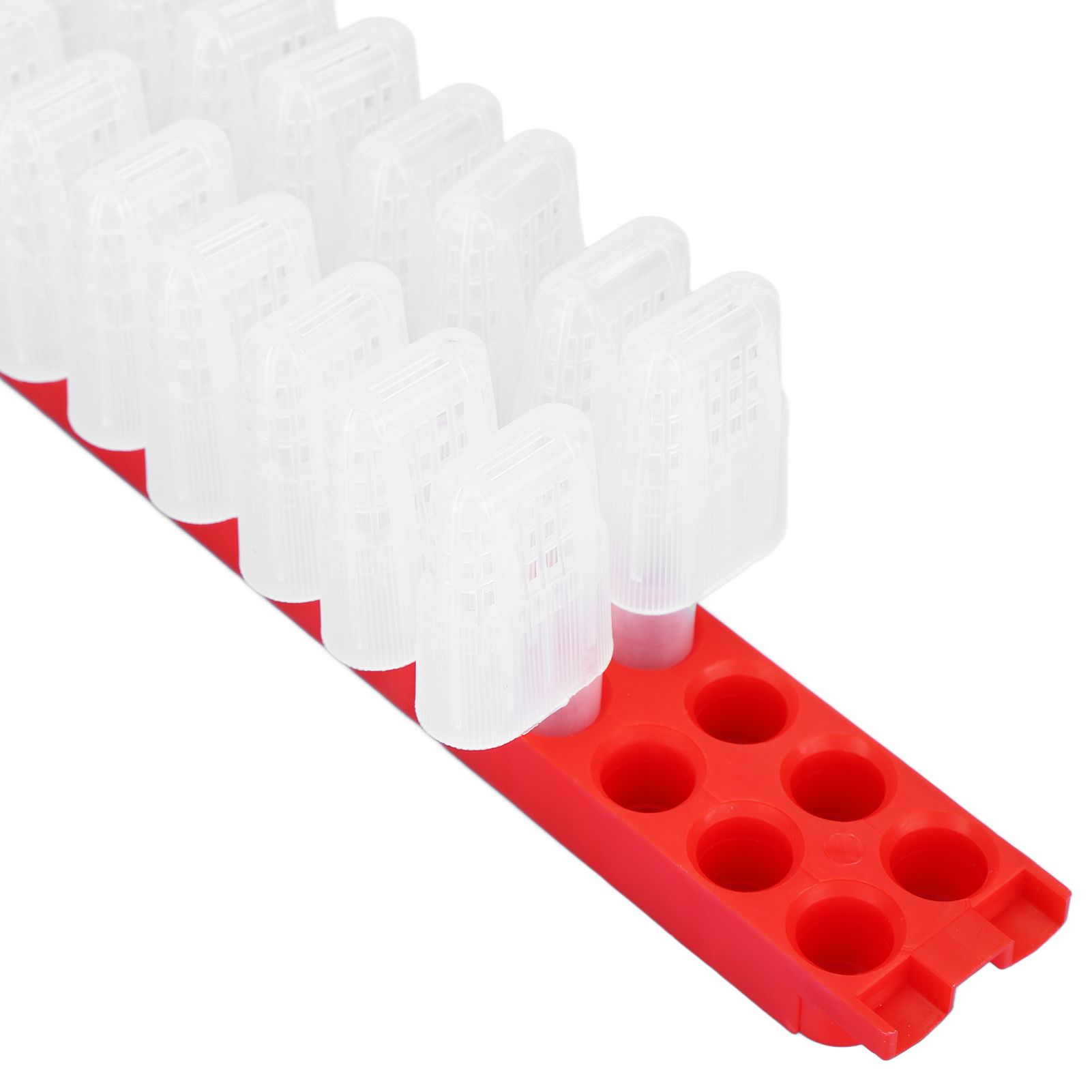 Bee Queen Cage Plastic Bee Rearing Cages Kit with Transport Strip Beekeeping view 15