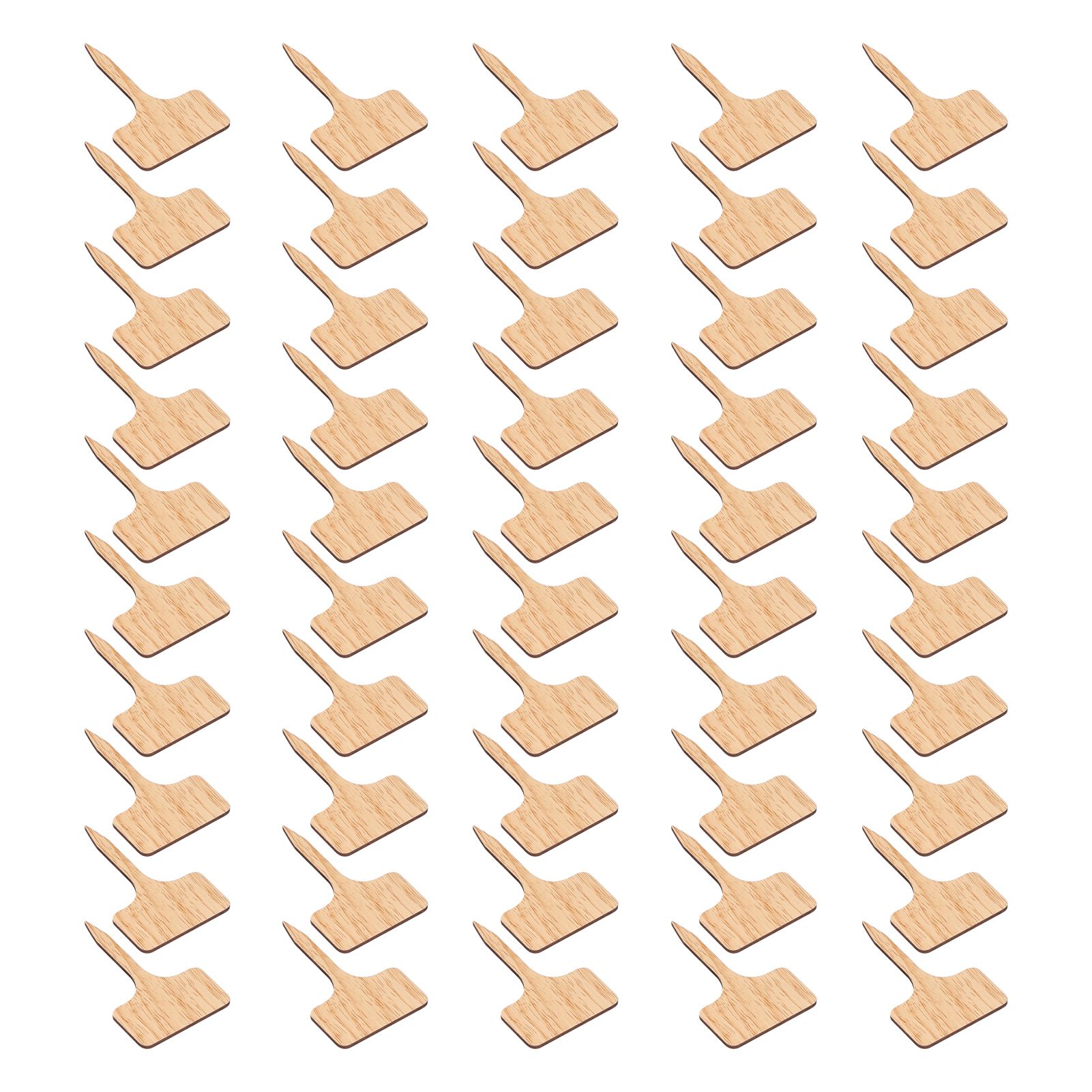 50PCS Bamboo Plant Labels T Type Wooden Plant Sign for Seed Potted Herbs view 6