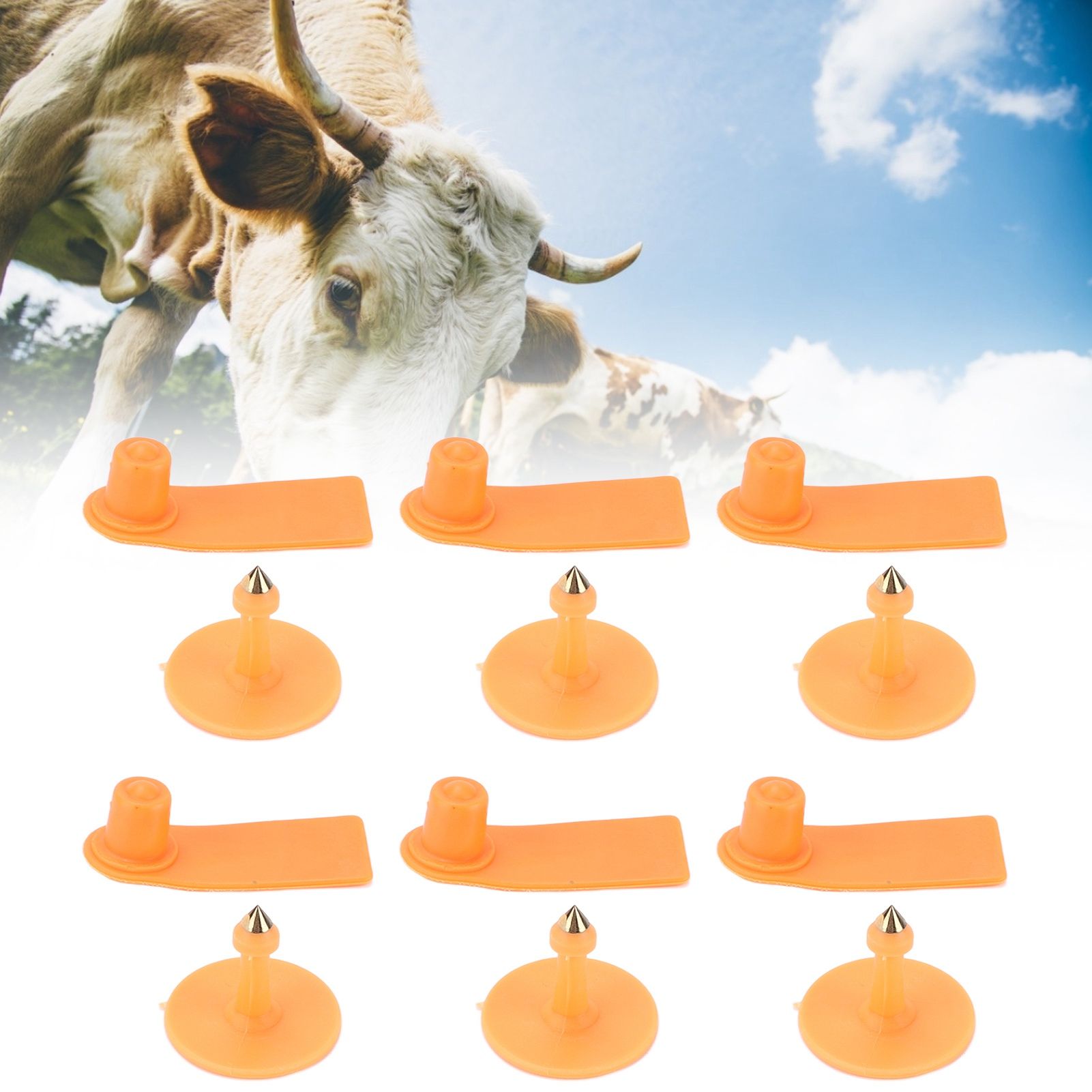 100Set Livestock Ear Tag Kit Plastic Farm Animal Ear Label Tag for Sheep Goats view 11