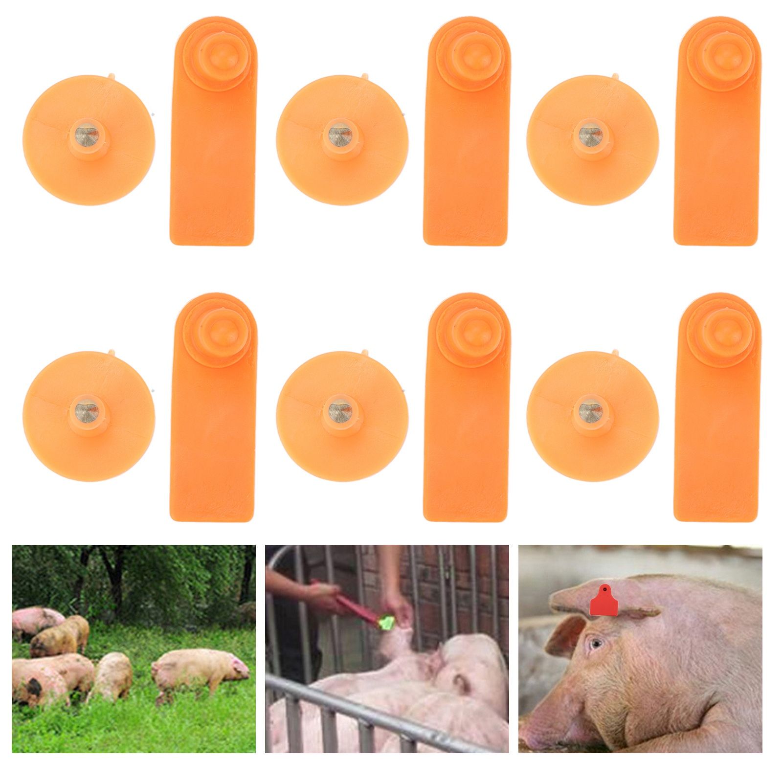 100Set Livestock Ear Tag Kit Plastic Farm Animal Ear Label Tag for Sheep Goats view 12