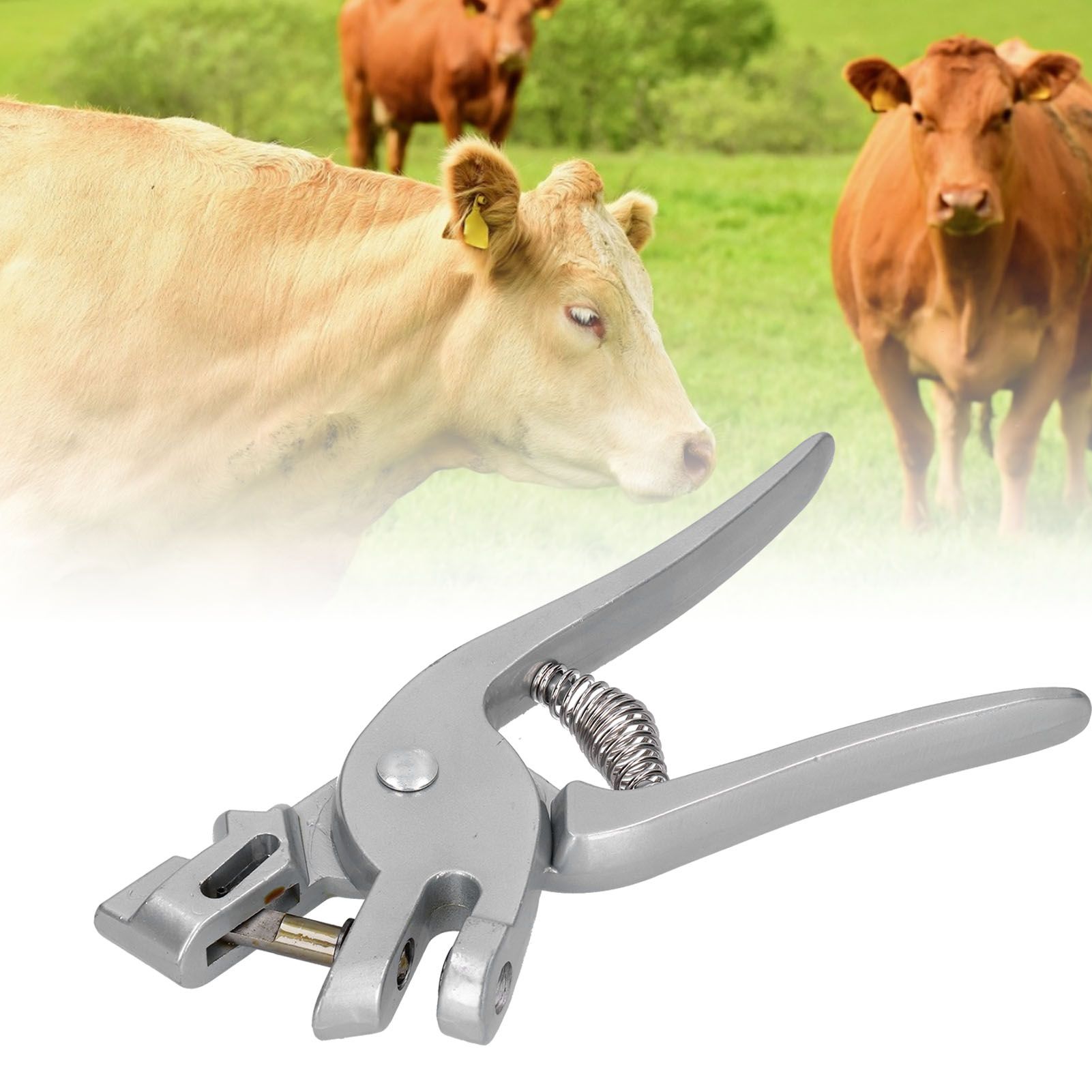 Ear Tag Applicator Stainless Steel Veterinary Ear Tag Plier for Livestock Pig view 12