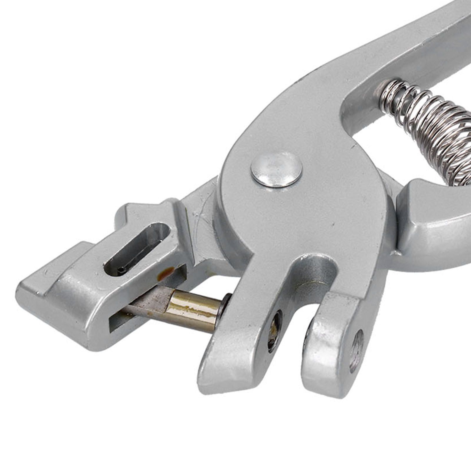 Ear Tag Applicator Stainless Steel Veterinary Ear Tag Plier for Livestock Pig view 14