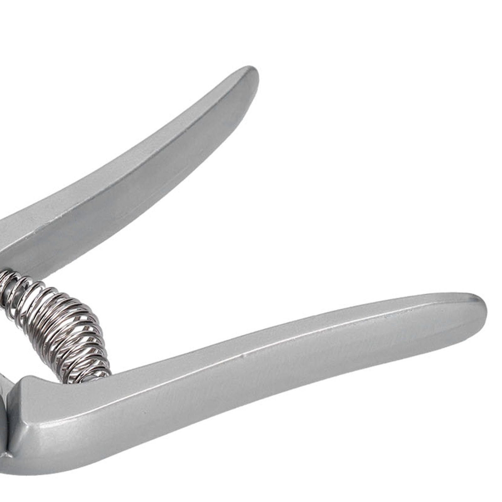 Ear Tag Applicator Stainless Steel Veterinary Ear Tag Plier for Livestock Pig view 15