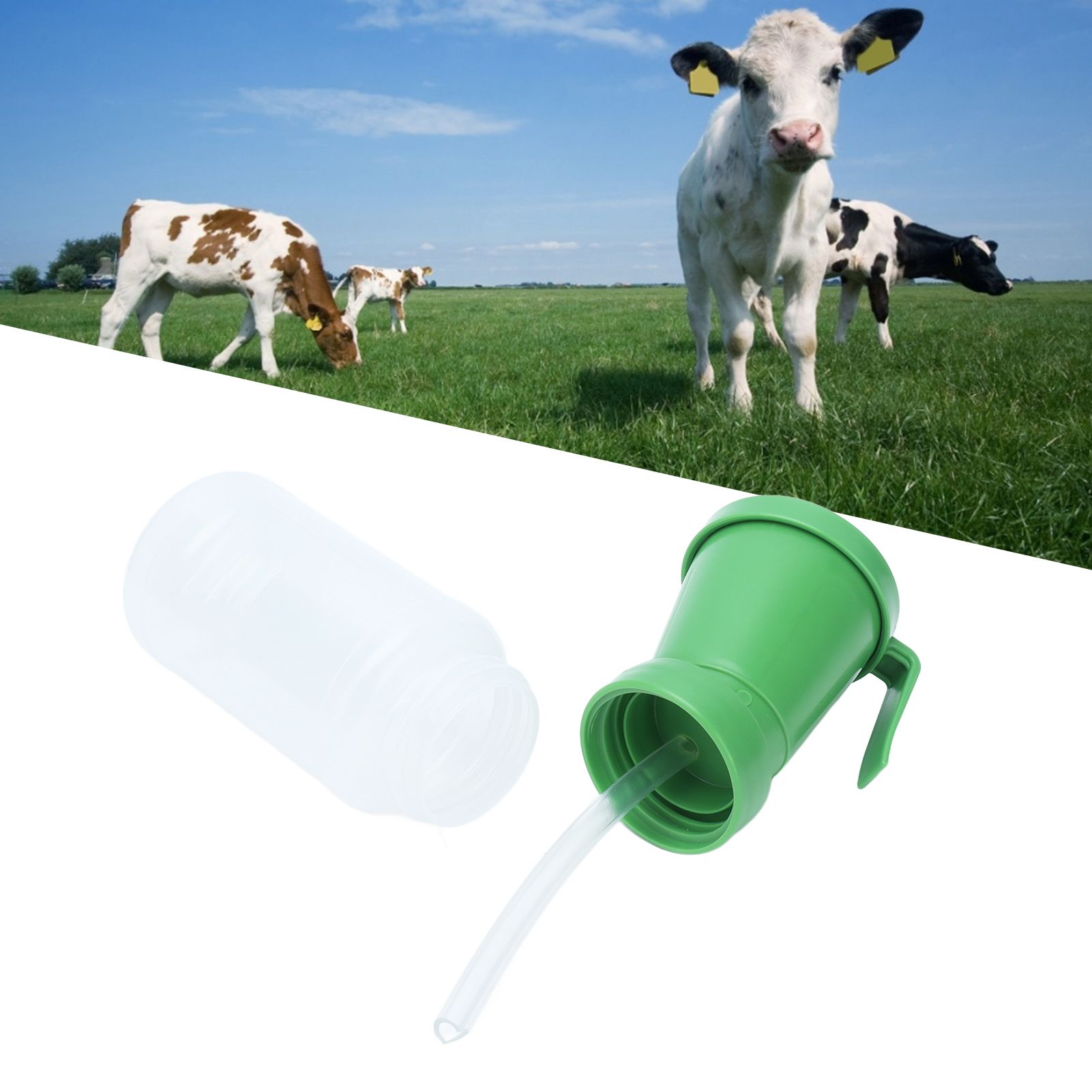 Teat Dip Cup Non Reflow Nipple Dip Cup Green Prevent Infection Teat Cleaning view 11
