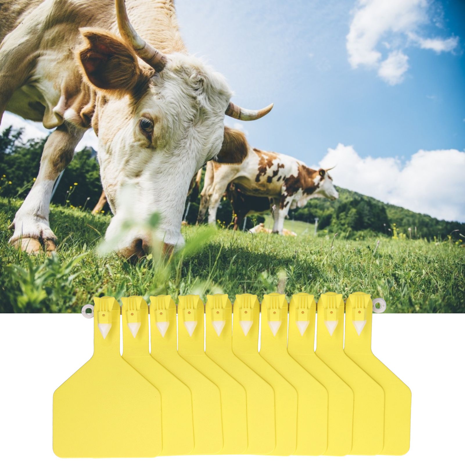 100Pcs Plastic Integrated Ear Tag Kit Livestock Farm Ear Label Tag for Cow view 11