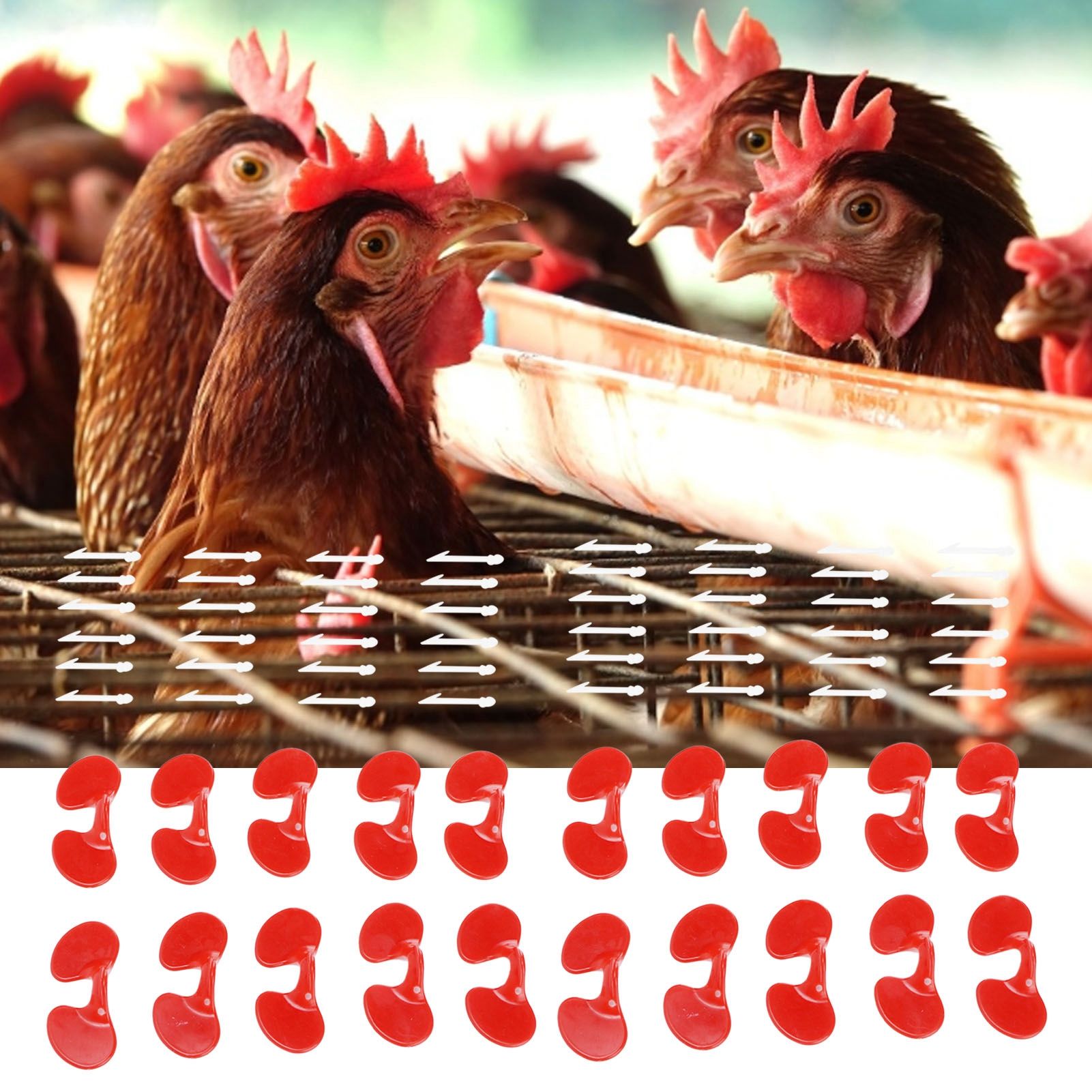 1000Set 6cm Chicken Blinders with Holes Plastic Anti Pecking Chicken Eye view 11