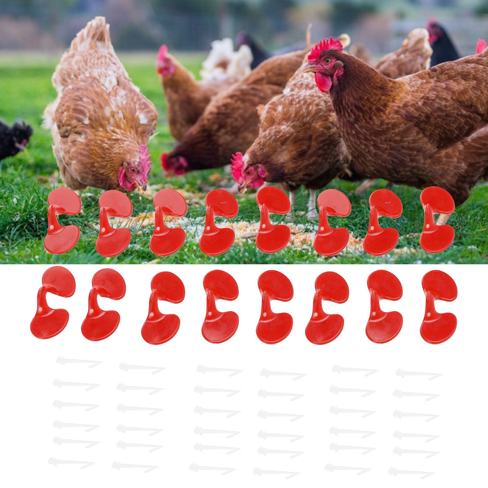 1000Set 6cm Chicken Blinders with Holes Plastic Anti Pecking Chicken Eye view 12