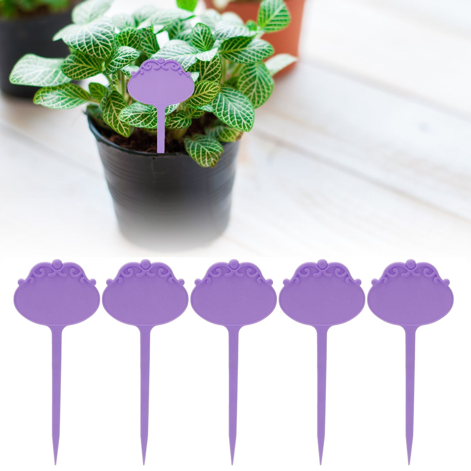 50Pcs Plant Labels Waterproof Flower Markers Plant Tag for Garden Nursery view 12