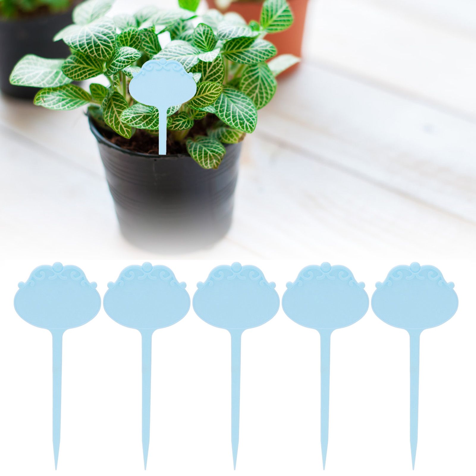 50Pcs Plant Labels Waterproof Flower Markers Plant Tag for Garden Nursery view 12