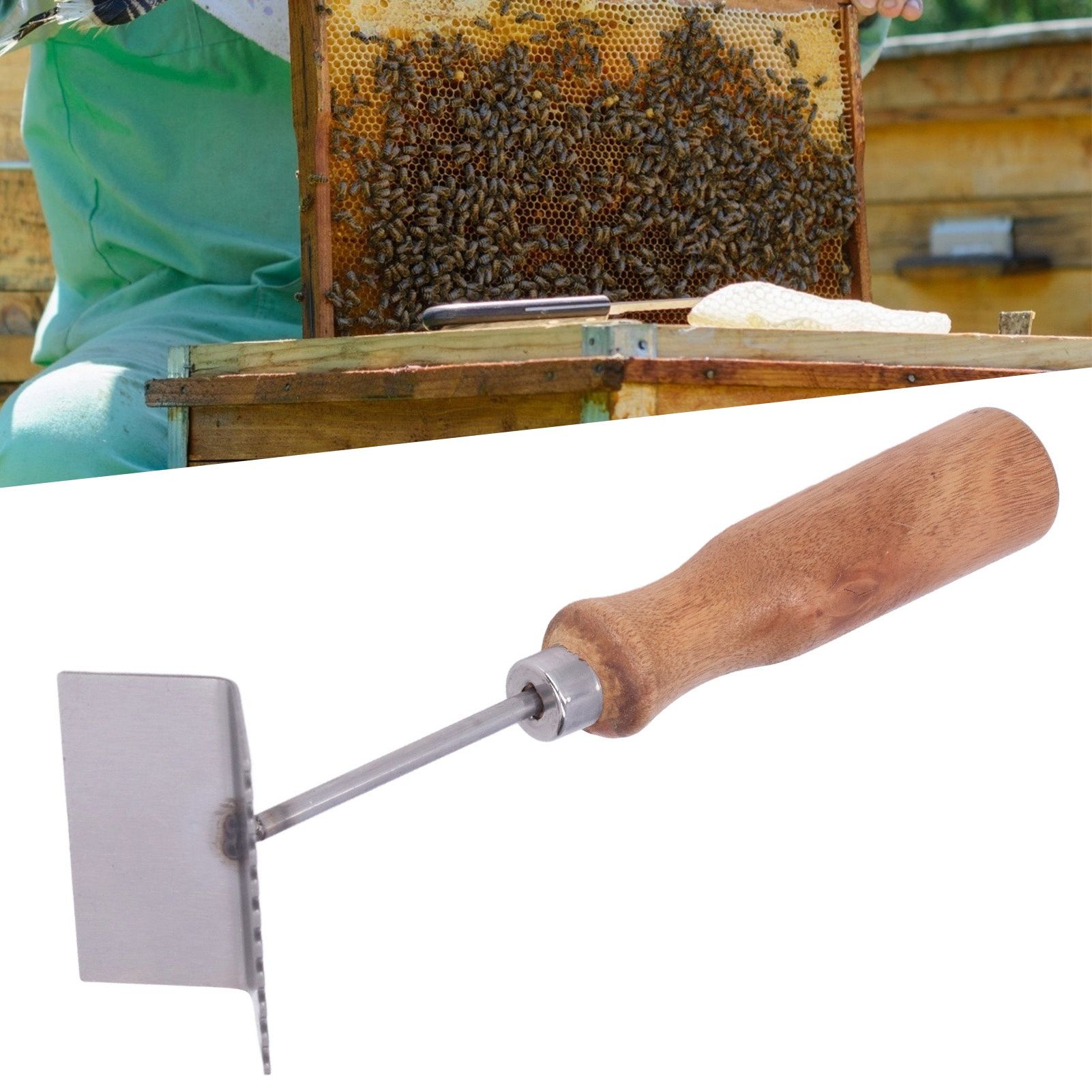 Bee Frame Shovel Stainless Steel Wooden Handle Professional Beehive Cleaner view 12
