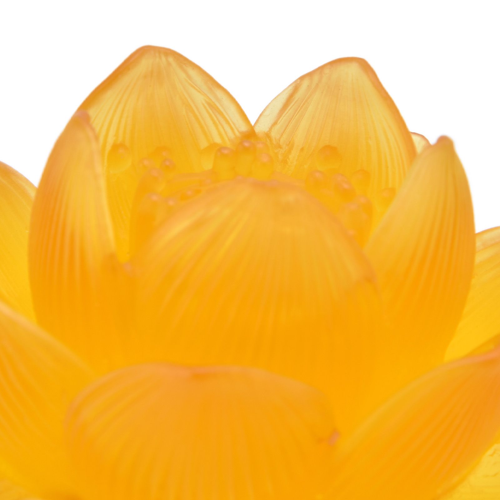 2 Set LED Buddhist Light 3 Color Adjustment Buddha Lamp Plug In Flower Light view 13
