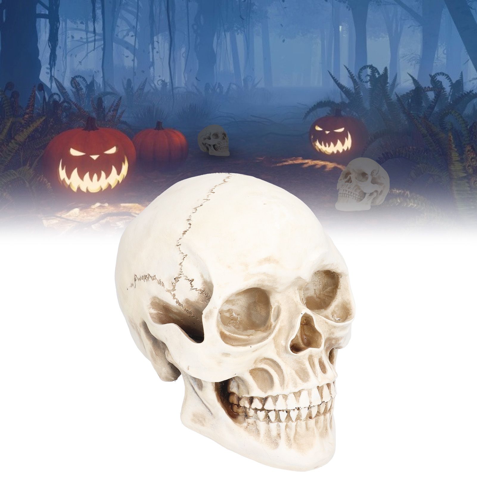 Animal Skull Model Skull Decoration Ornament Resin Craftwork Halloween Props view 11