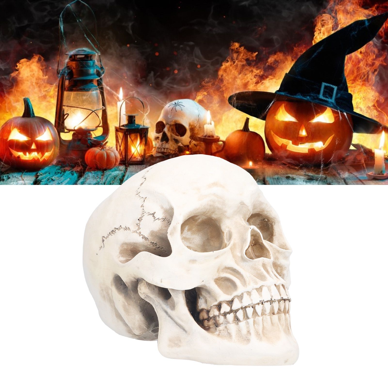 Animal Skull Model Skull Decoration Ornament Resin Craftwork Halloween Props view 12