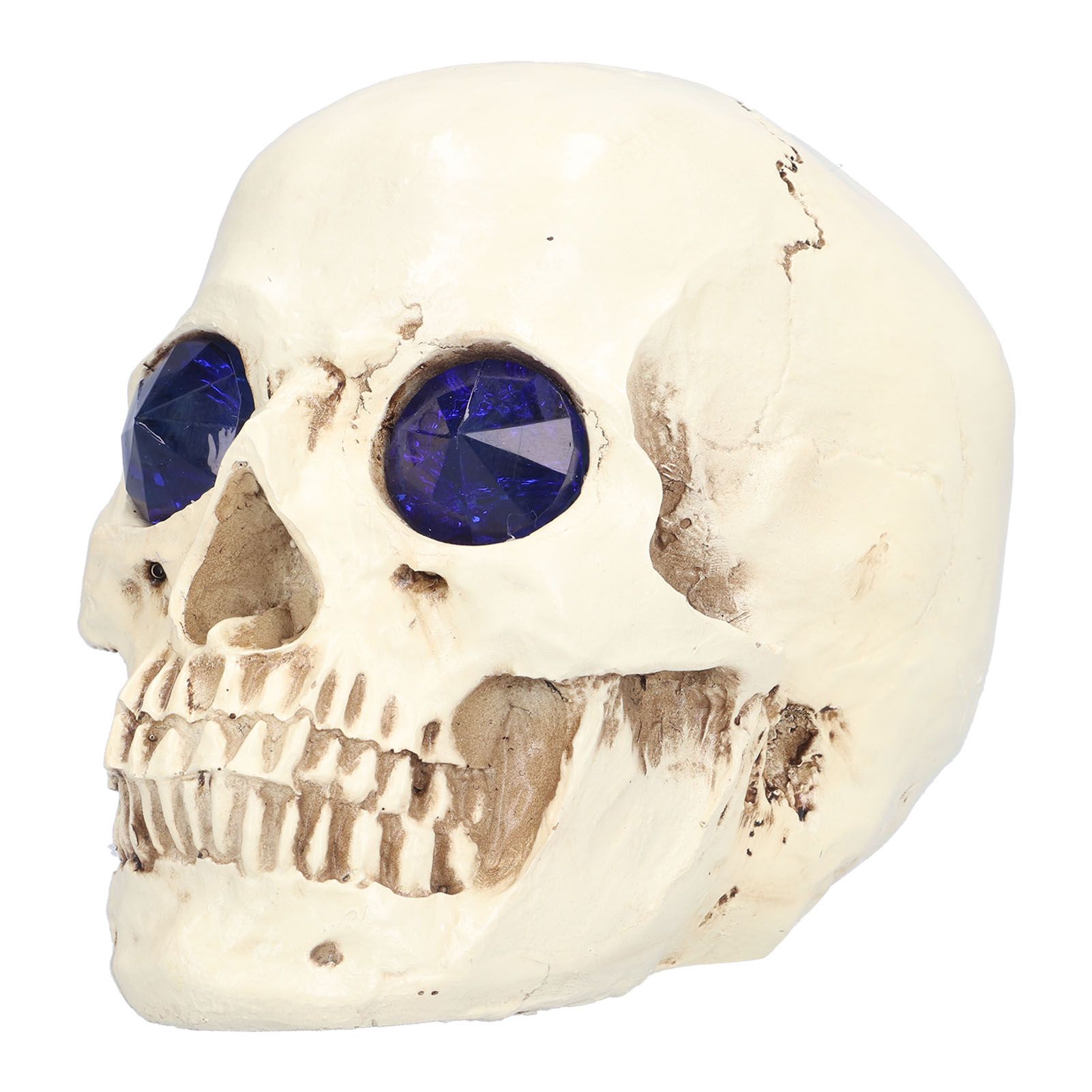 Skull Ornaments Vivid Lightweight Easily Clean Add Horror Ambience Halloween view 2