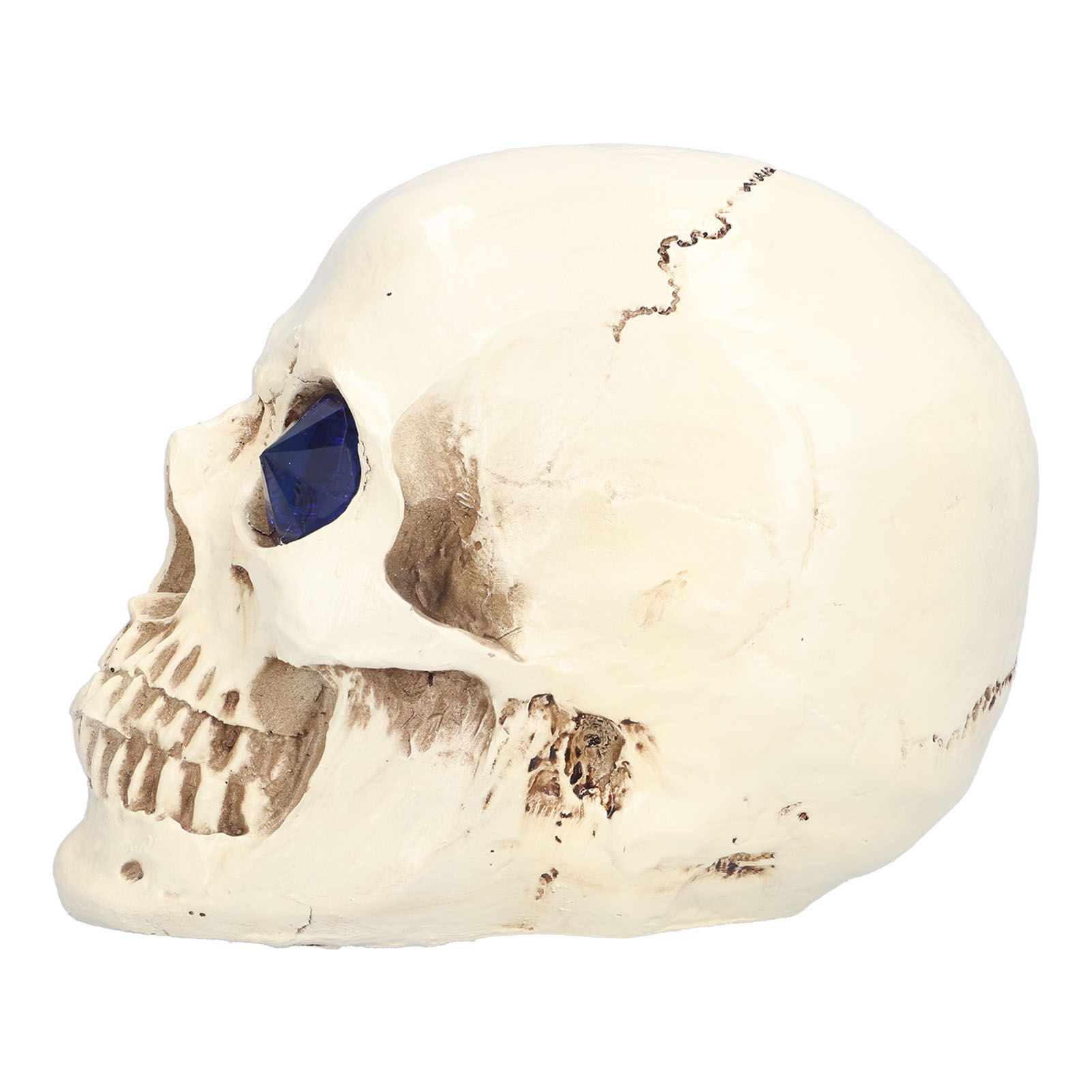 Skull Ornaments Vivid Lightweight Easily Clean Add Horror Ambience Halloween view 3