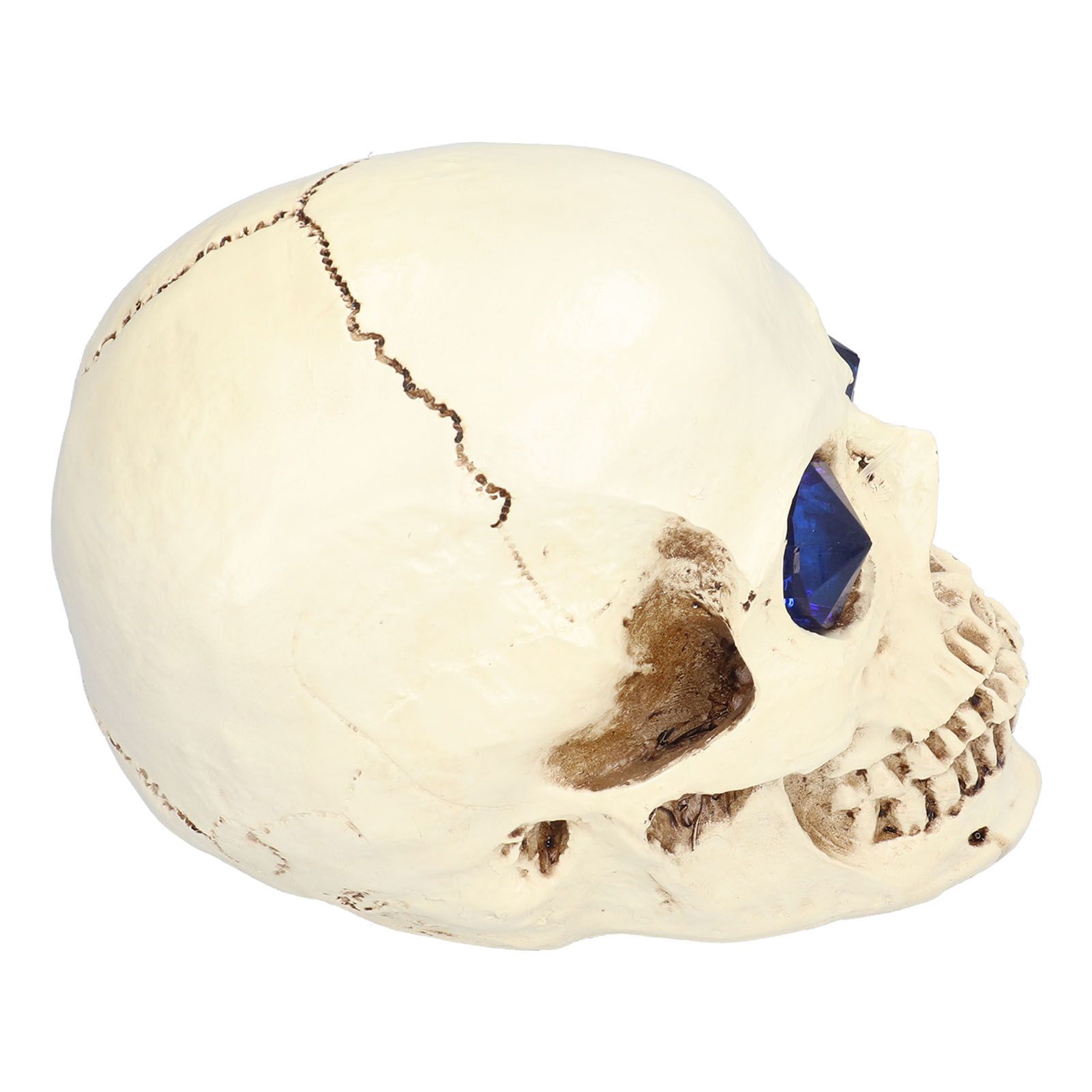 Skull Ornaments Vivid Lightweight Easily Clean Add Horror Ambience Halloween view 4