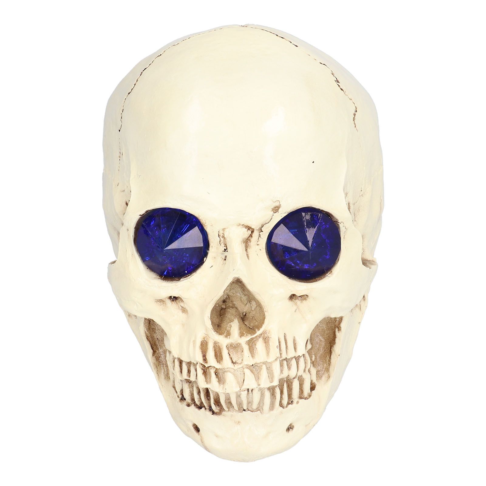 Skull Ornaments Vivid Lightweight Easily Clean Add Horror Ambience Halloween view 5