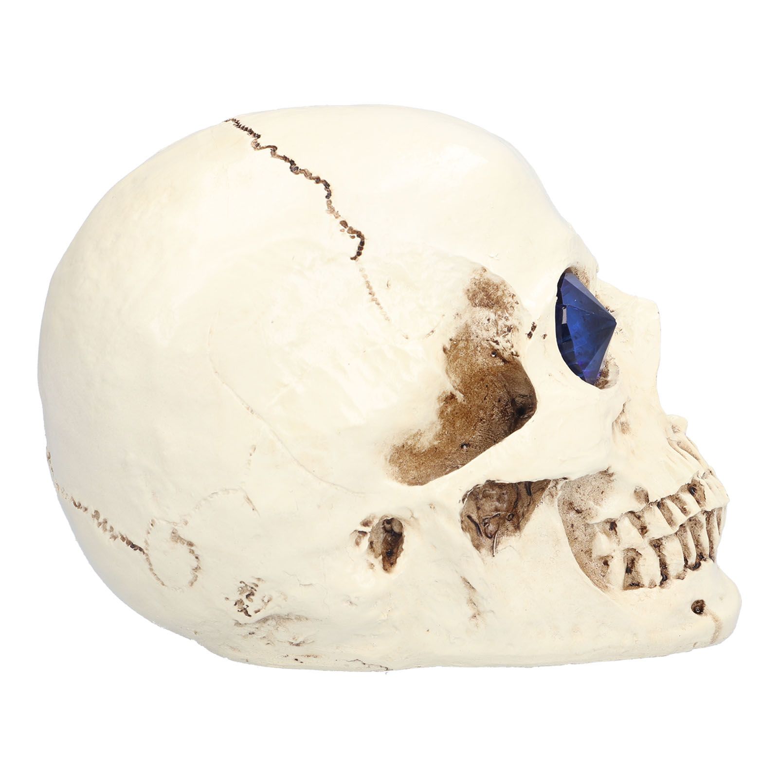 Skull Ornaments Vivid Lightweight Easily Clean Add Horror Ambience Halloween view 7