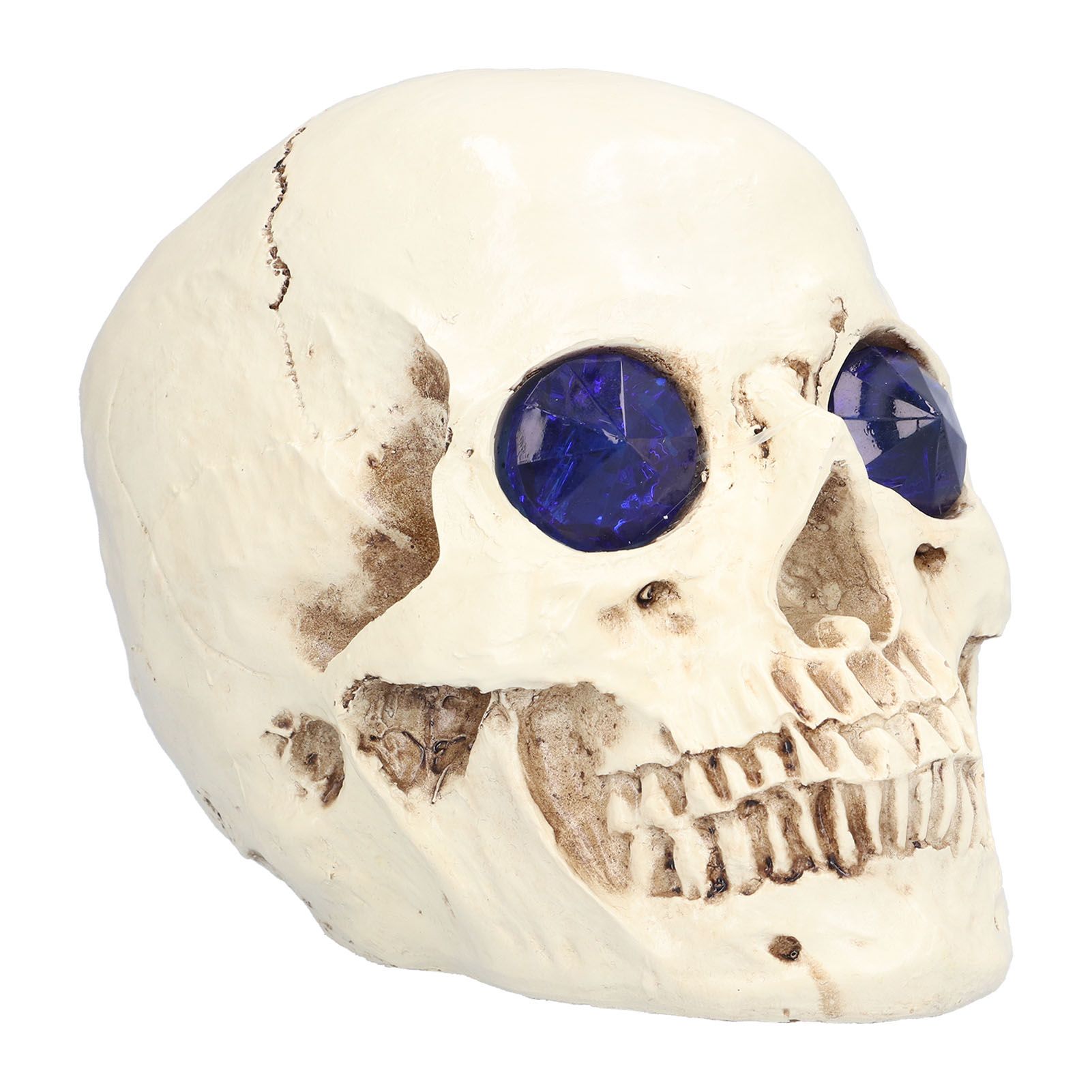 Skull Ornaments Vivid Lightweight Easily Clean Add Horror Ambience Halloween view 8