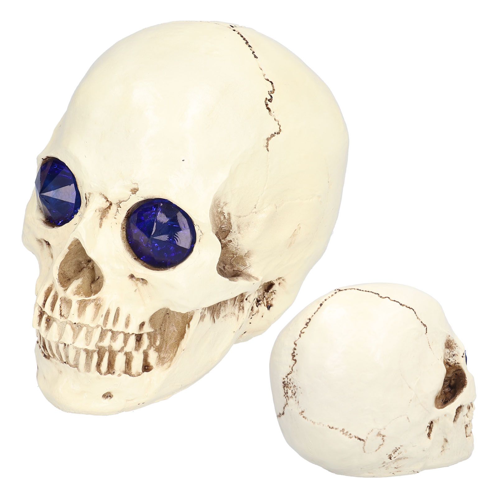 Skull Ornaments Vivid Lightweight Easily Clean Add Horror Ambience Halloween view 9