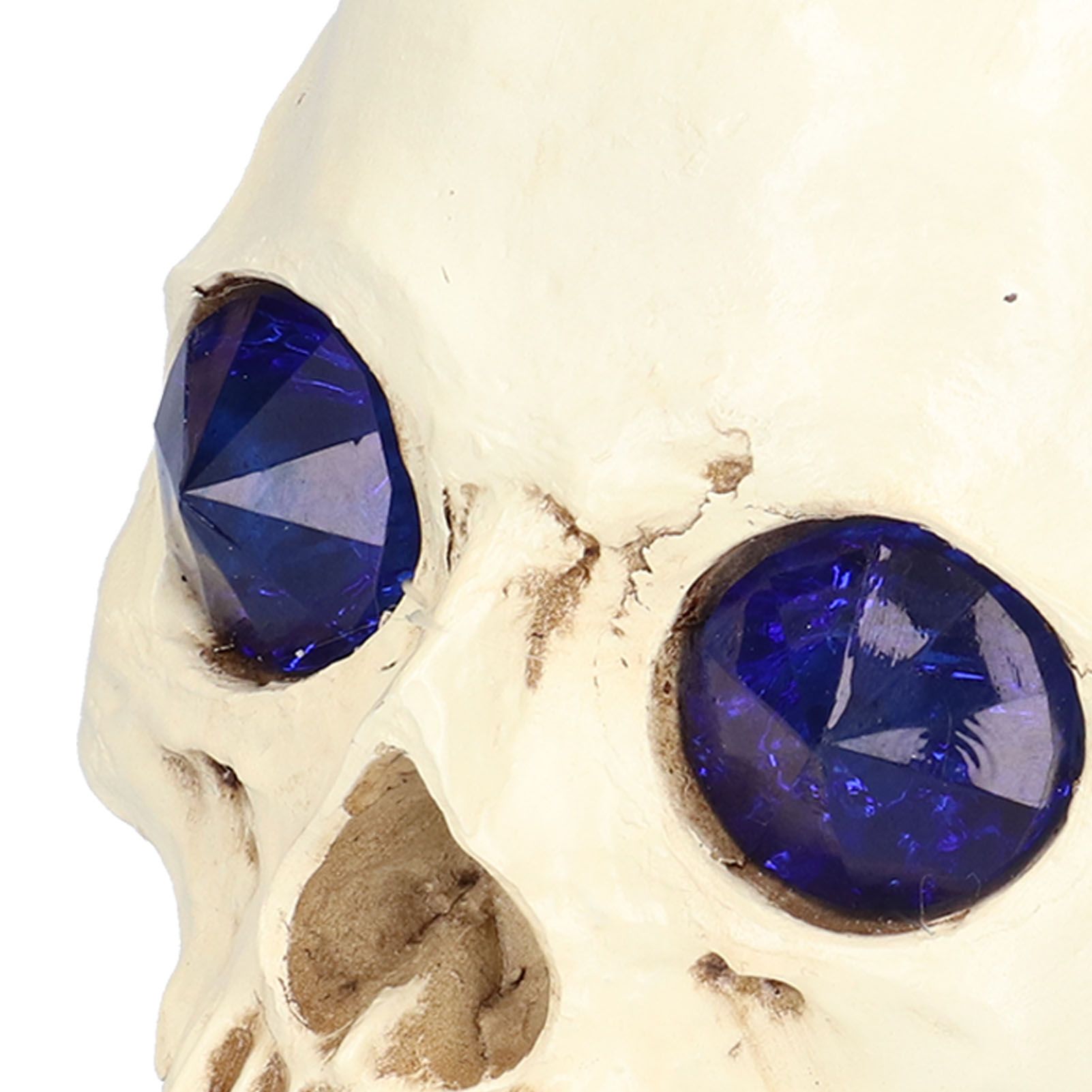 Skull Ornaments Vivid Lightweight Easily Clean Add Horror Ambience Halloween view 13