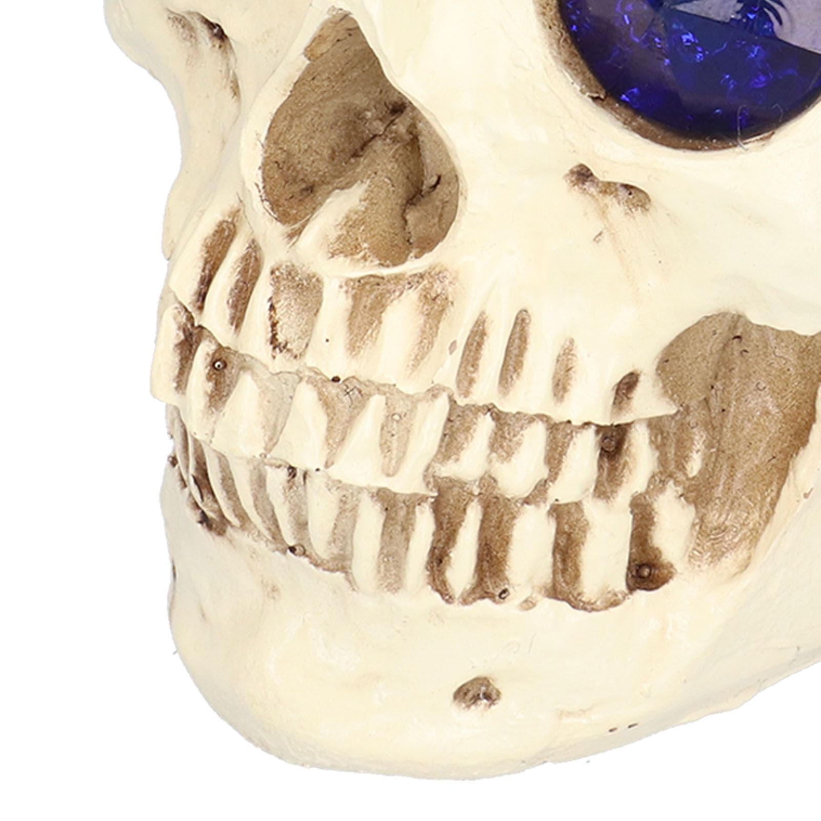 Skull Ornaments Vivid Lightweight Easily Clean Add Horror Ambience Halloween view 15
