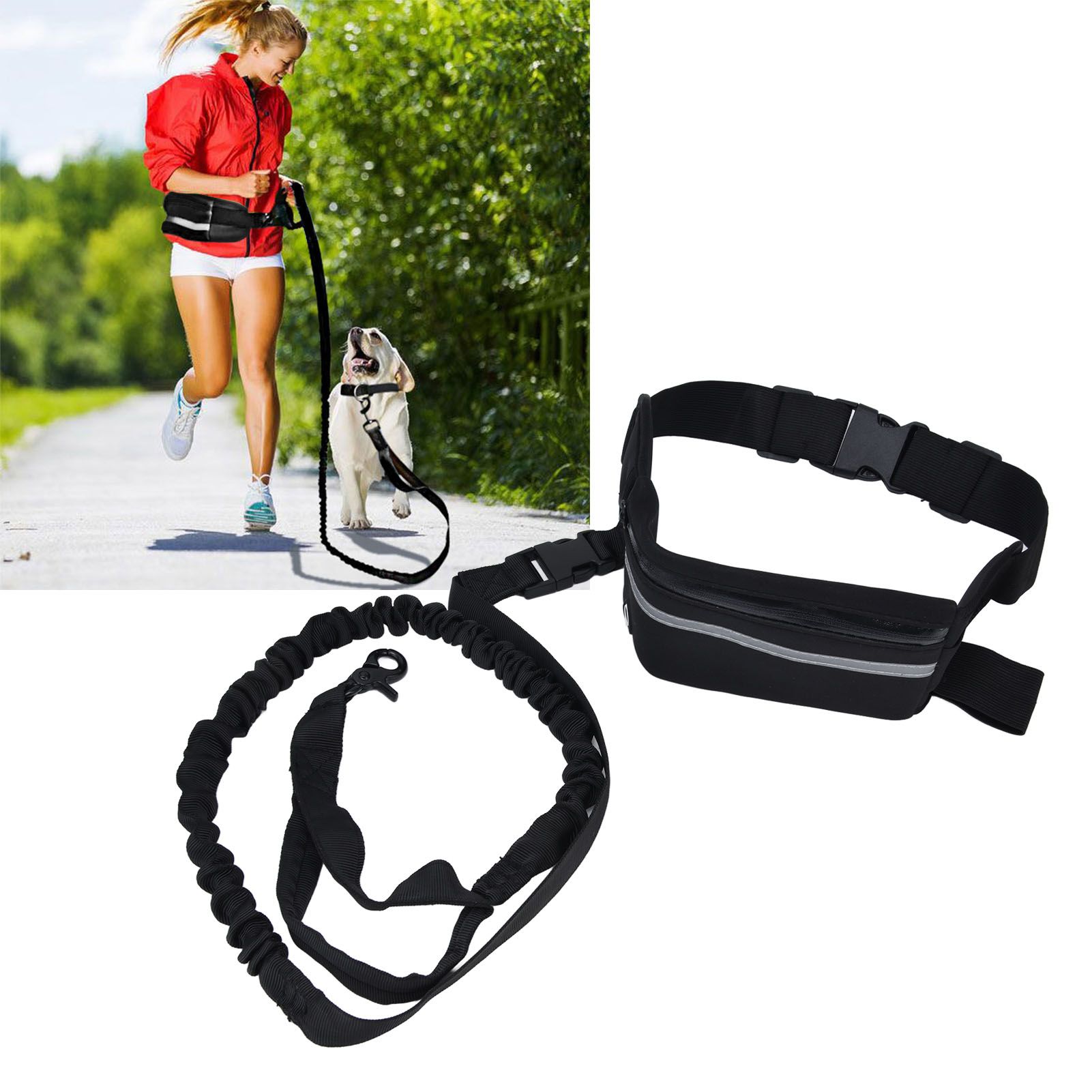 Sports Belt Bag Leash Set Reflective Elastic Explosion Proof Dog Running view 11